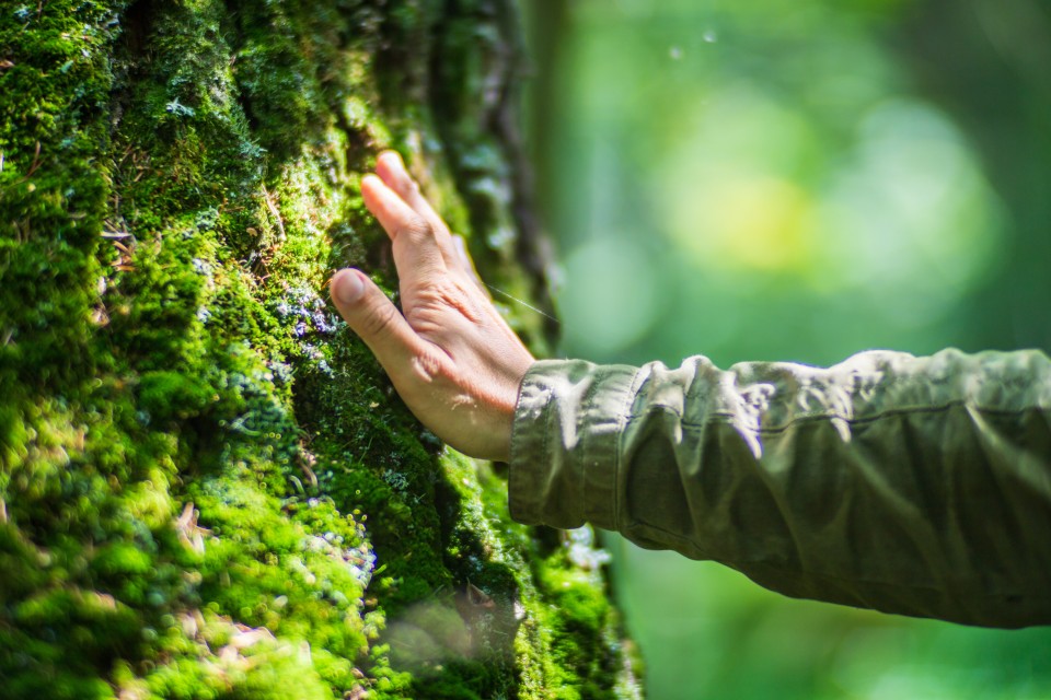AdobeStock_582808573-960x640
